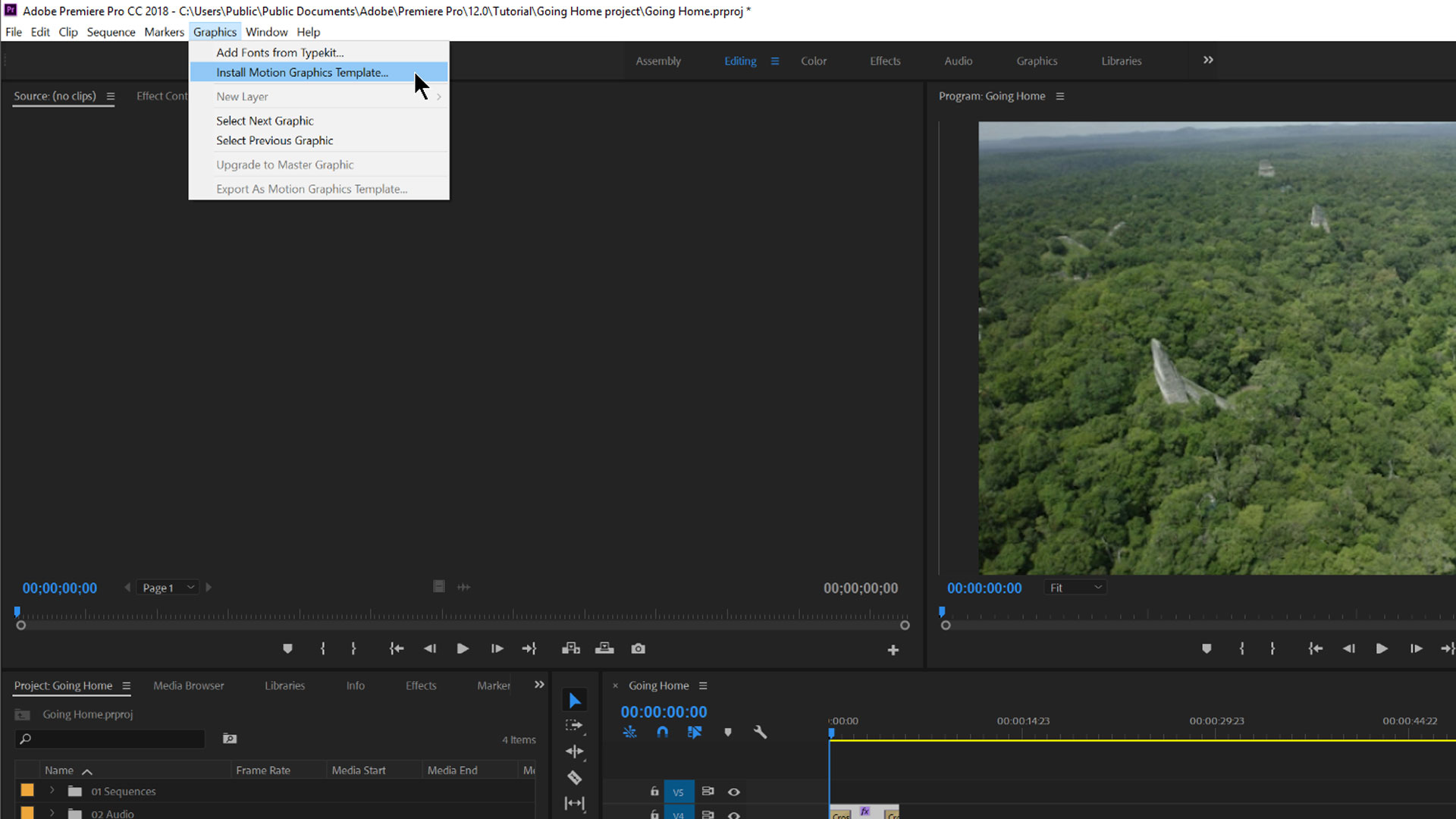 motion graphics for premiere pro